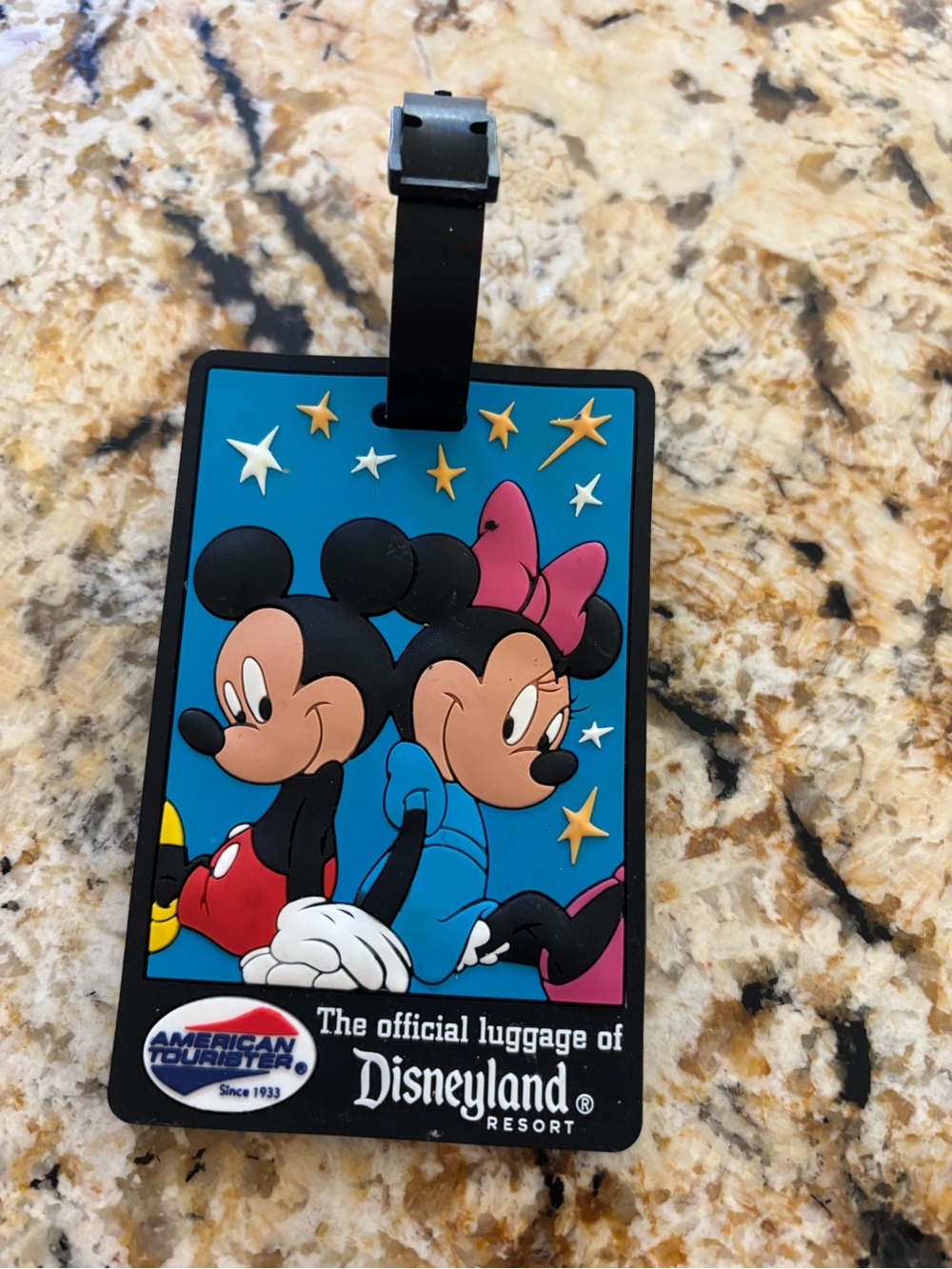 Disneyland Resort Luggage Tag NWOT